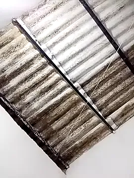 anitotori from StripChat is Freechat