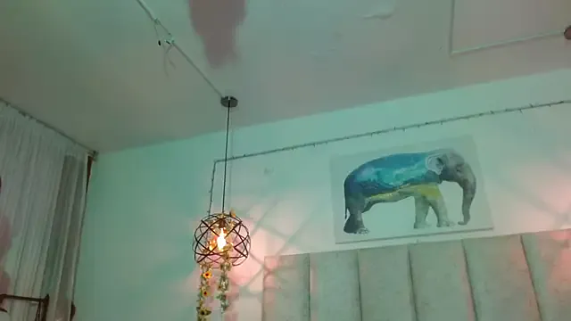 antonella_rosecs from StripChat is Freechat