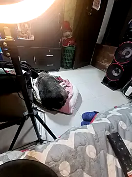 anythompsom from StripChat is Freechat