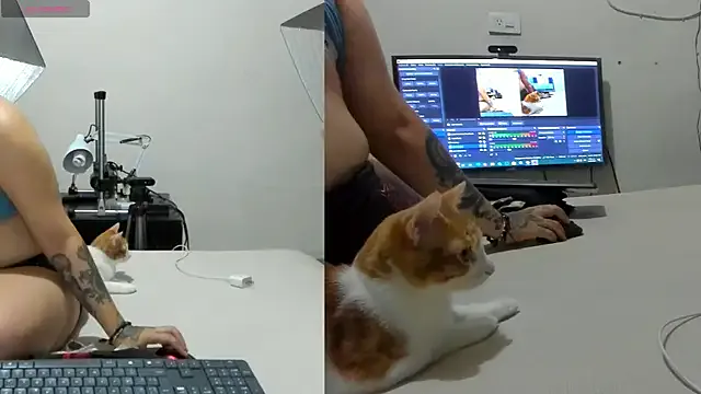 Girls: try live performances with matured performers, from dancing to quirks, in a variety of beautiful sex cams.