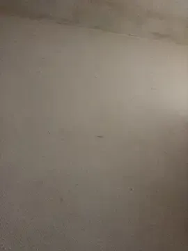 BELLAMORGANE1 from StripChat is Freechat