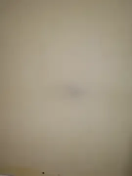 estefymariam88 from StripChat is Freechat