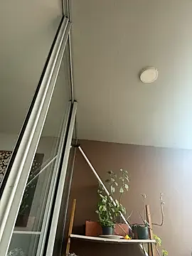 itsdanividarte from StripChat is Freechat