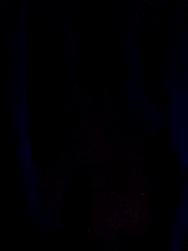 Lamborghiniasia from StripChat