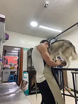 Leonardmoppet from StripChat is Freechat