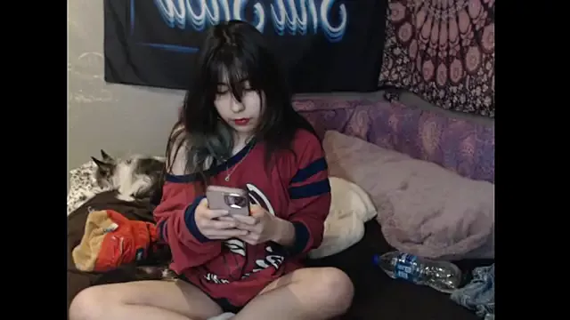 Girls: try live performances with matured performers, from dancing to quirks, in a variety of beautiful sex cams.