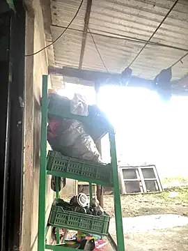 melissa_milkk from StripChat is Freechat