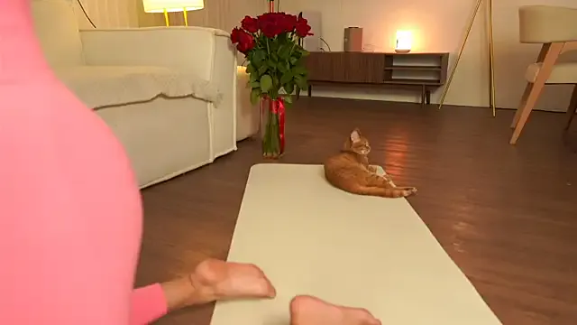 Girls: try live performances with matured performers, from dancing to quirks, in a variety of beautiful sex cams.