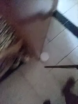 Rosabela04 from StripChat is Freechat