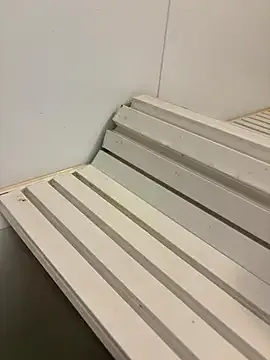 sukebegorilla from StripChat is Freechat