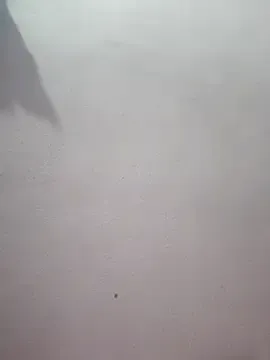 Tamanna_hot from StripChat is Freechat