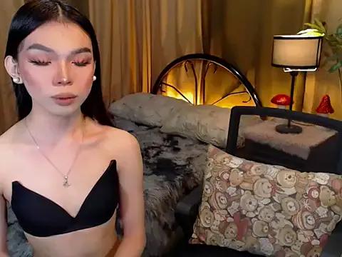 TWINKTRANSSHANEL from StripChat is Freechat