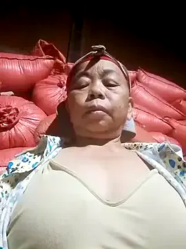 VangLe73 from StripChat