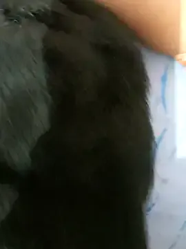 Village_wali_bhabhi from StripChat is Freechat