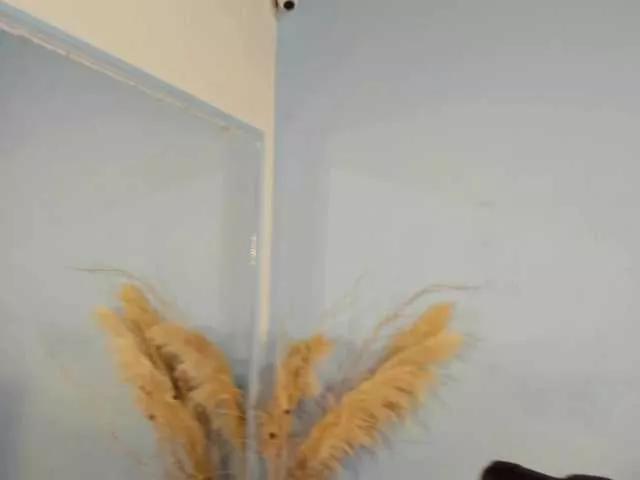 Photos of Abril-jones10 from BongaCams is Freechat