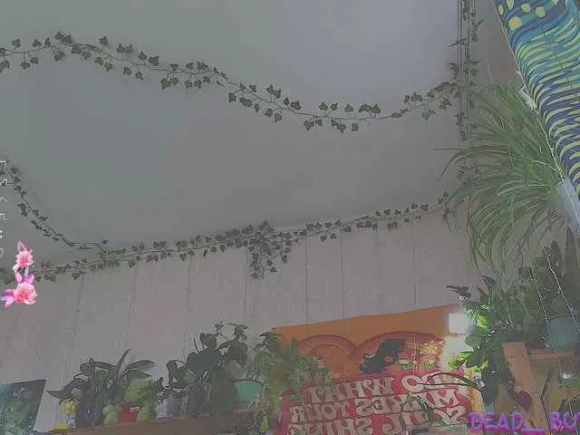 DeadButterfly from BongaCams