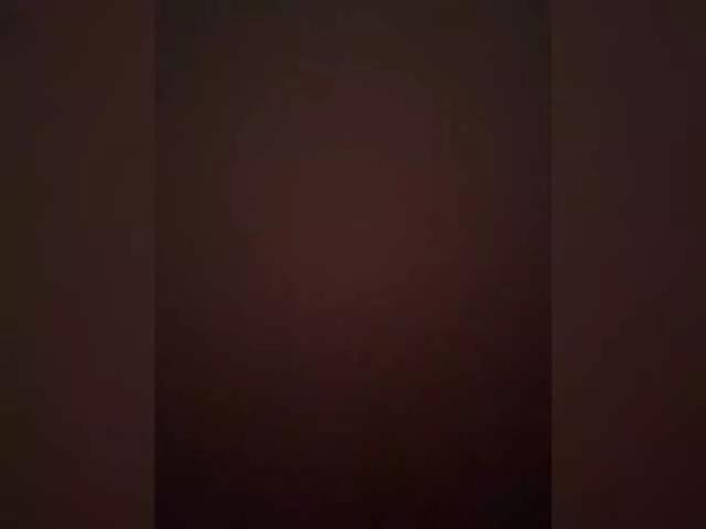 SilkandFir3 webcams show profile image 