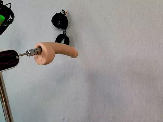 VikkiRood from BongaCams