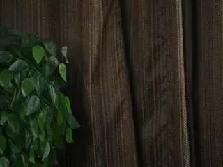 Photos of hsiufariello from CamSoda is Freechat