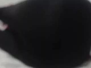 kittyhotass from CamSoda