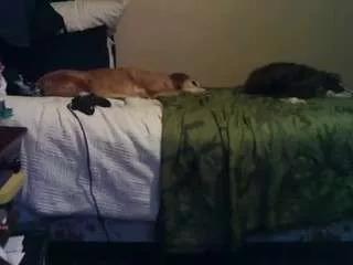 lesjuschill from CamSoda is Freechat