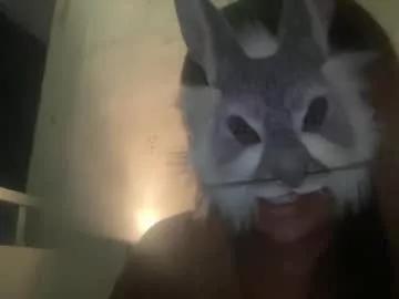 candybunnyxo from Chaturbate is Freechat