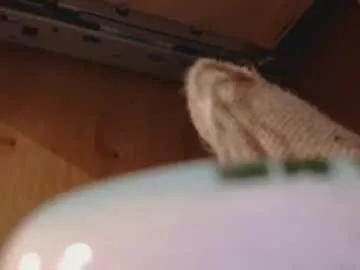 Photos of dildosnme22 from Chaturbate is Freechat