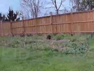 ells_palace from Chaturbate