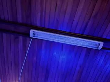 hanaa_evanss from Chaturbate
