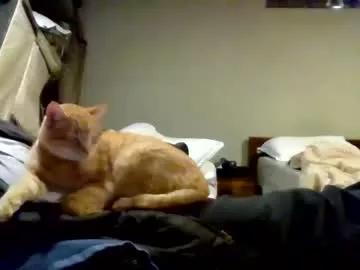 holllowood from Chaturbate