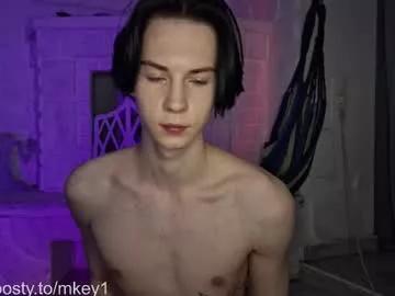 Meetmikee webcams show profile image 