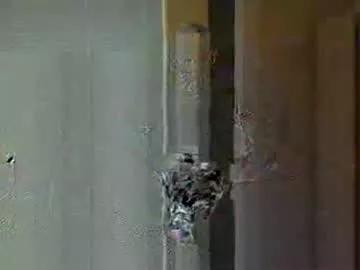 mikel19623 from Chaturbate is Freechat