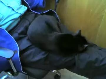 muller520 from Chaturbate