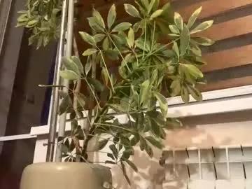 Photos of passiongirl7 from Chaturbate is Freechat