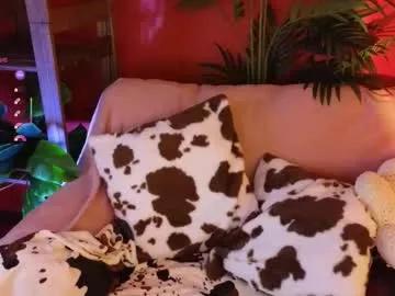 soft_animal from Chaturbate is Freechat