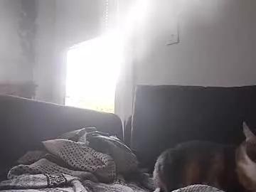 sunflowercvm from Chaturbate is Freechat