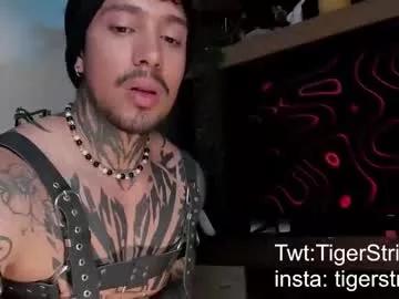 Photos of tigerstripes_ from Chaturbate is Freechat