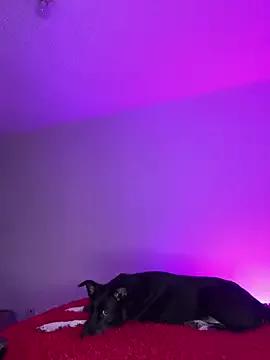 ariiel_ from StripChat