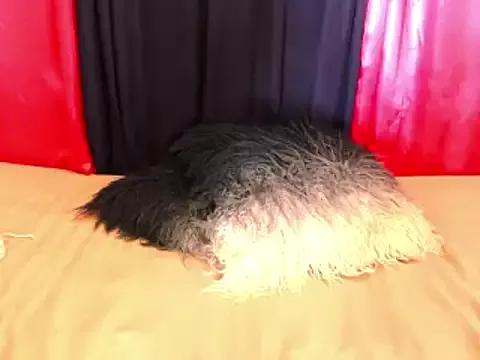 Biggblackboobs from StripChat