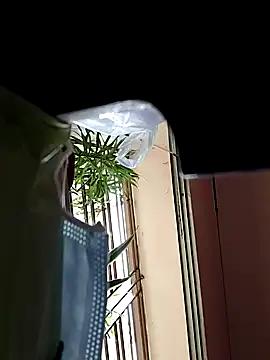 Erecotic-lover from StripChat