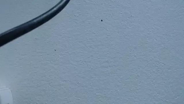 Hanna_Fox_69 from StripChat