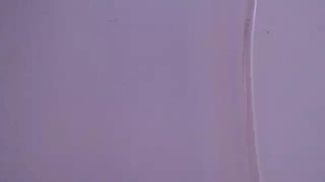 IsabellaForever from StripChat is Freechat