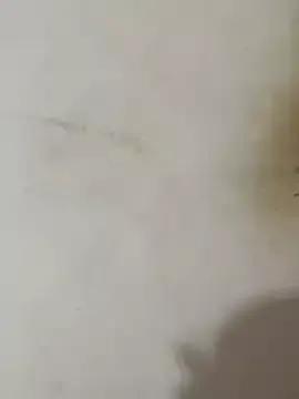 Julianamascarada webcams show profile image 