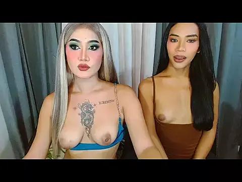 Girls: try live performances with matured performers, from dancing to quirks, in a variety of beautiful sex cams.