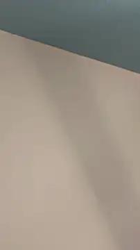NinaVI from StripChat
