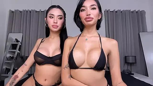 Girls: try live performances with matured performers, from dancing to quirks, in a variety of beautiful sex cams.