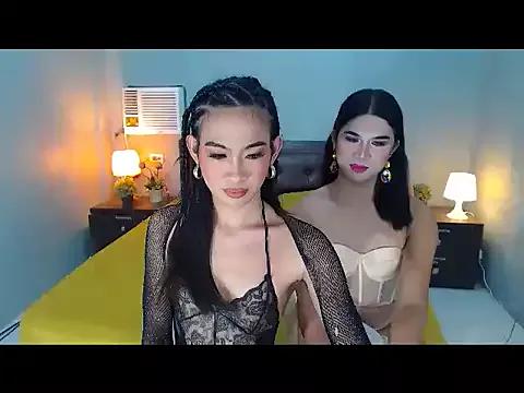 Girls: try live performances with matured performers, from dancing to quirks, in a variety of beautiful sex cams.