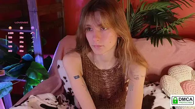 Photos of soft_animal_ from StripChat is Freechat