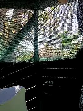 Xelenaxcbbs from StripChat